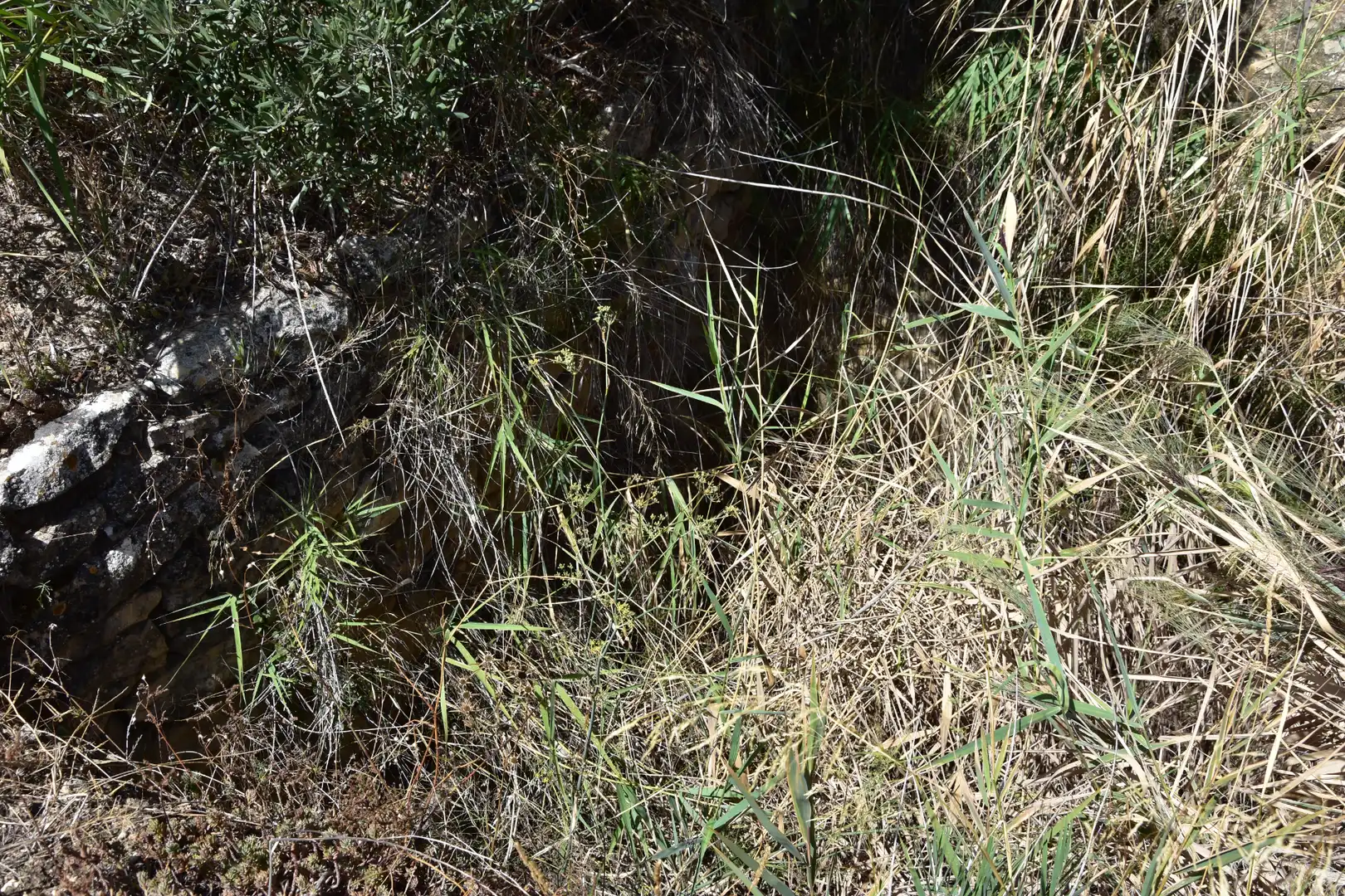 Terreni e lotti in vendita a Valdealgorfa, imagen 6