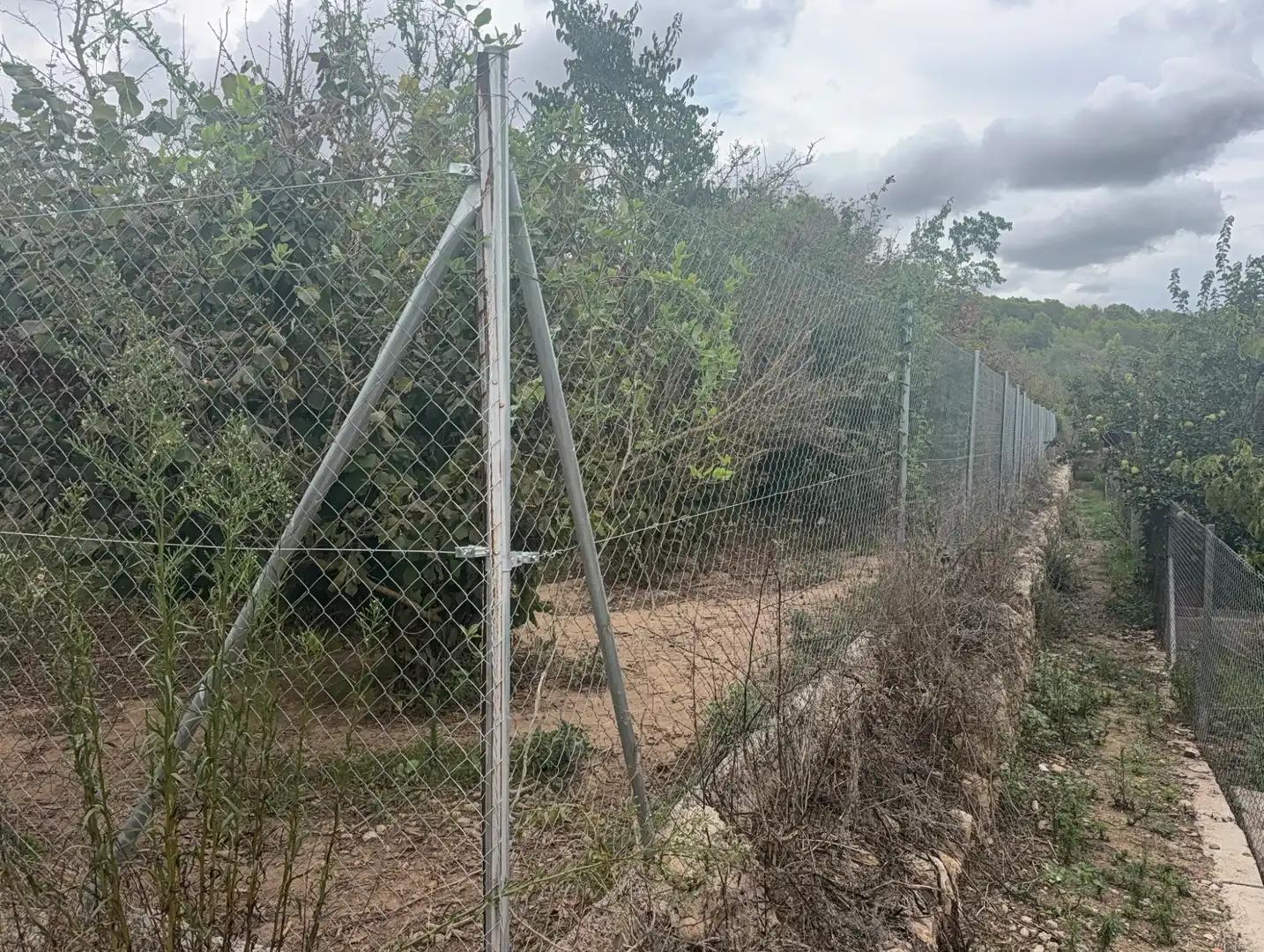 Terreny rústic en venda a Carretera del Catllar 22, imagen 18