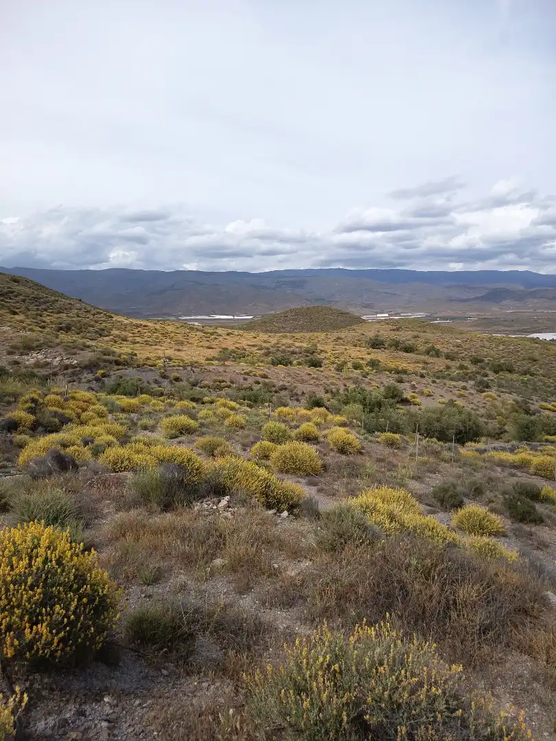 Terreno rustico in vendita a Alboloduy, imagen 22