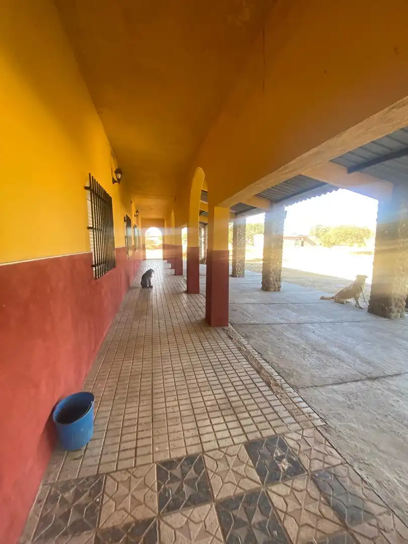 Finca rústica en venda en Mérida amb Aire condicionat i Moblat