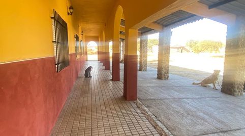 Foto 4 de Finca rústica en venda a Este, Mérida