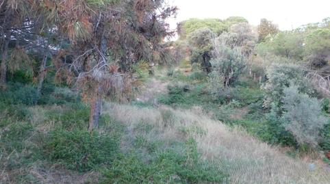 Photo 4 of Residential for sale in Can Quirze, Barcelona