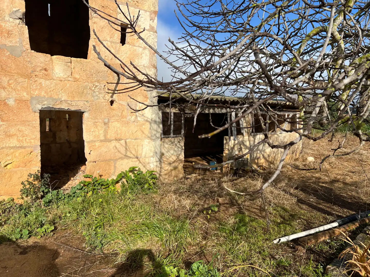 Rural land for sale in Búger, imagen 2