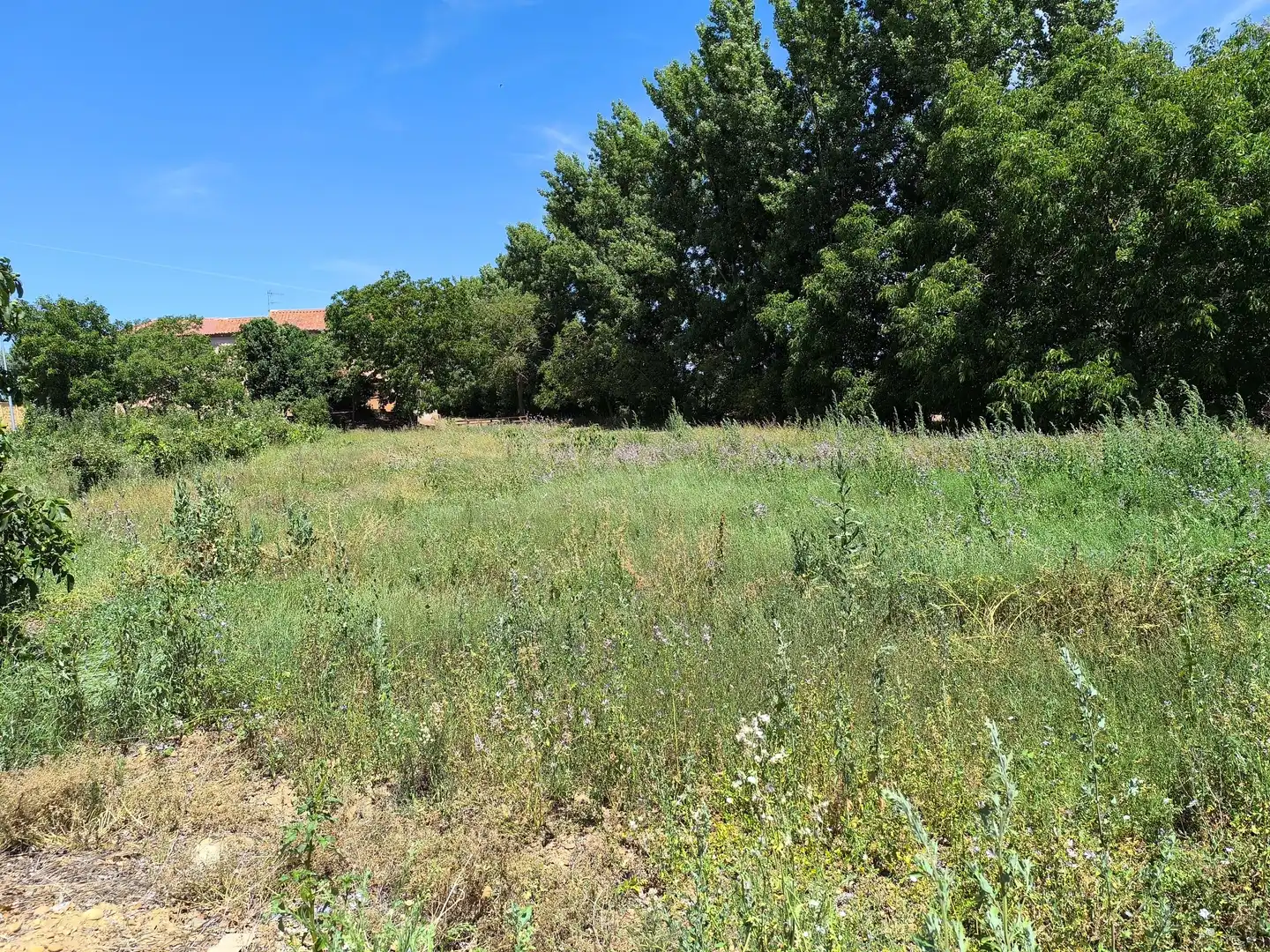 Residencial en venta en San Millán de los Caballeros
