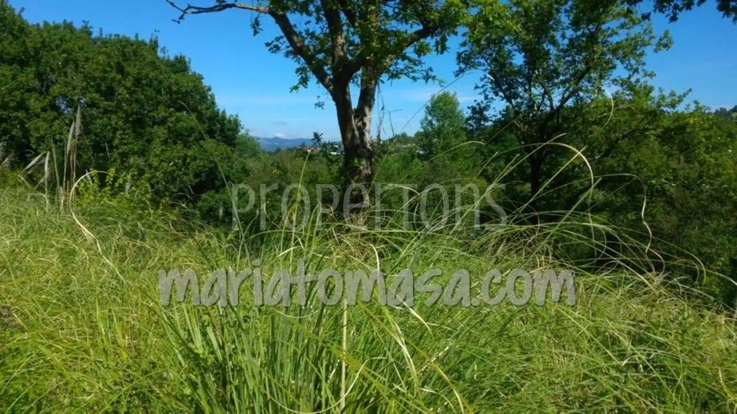 Lands and plots for sale in Mungia, imagen 8