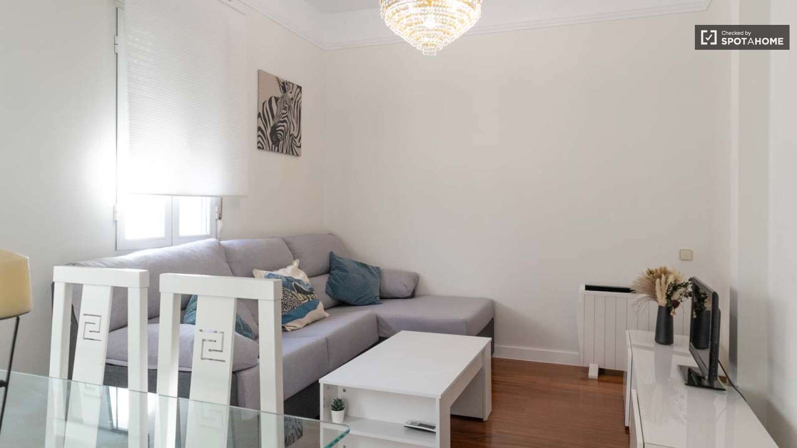 Sala de estar de Apartamento para compartir en  Madrid Capital con Aire acondicionado, Calefacción y Terraza