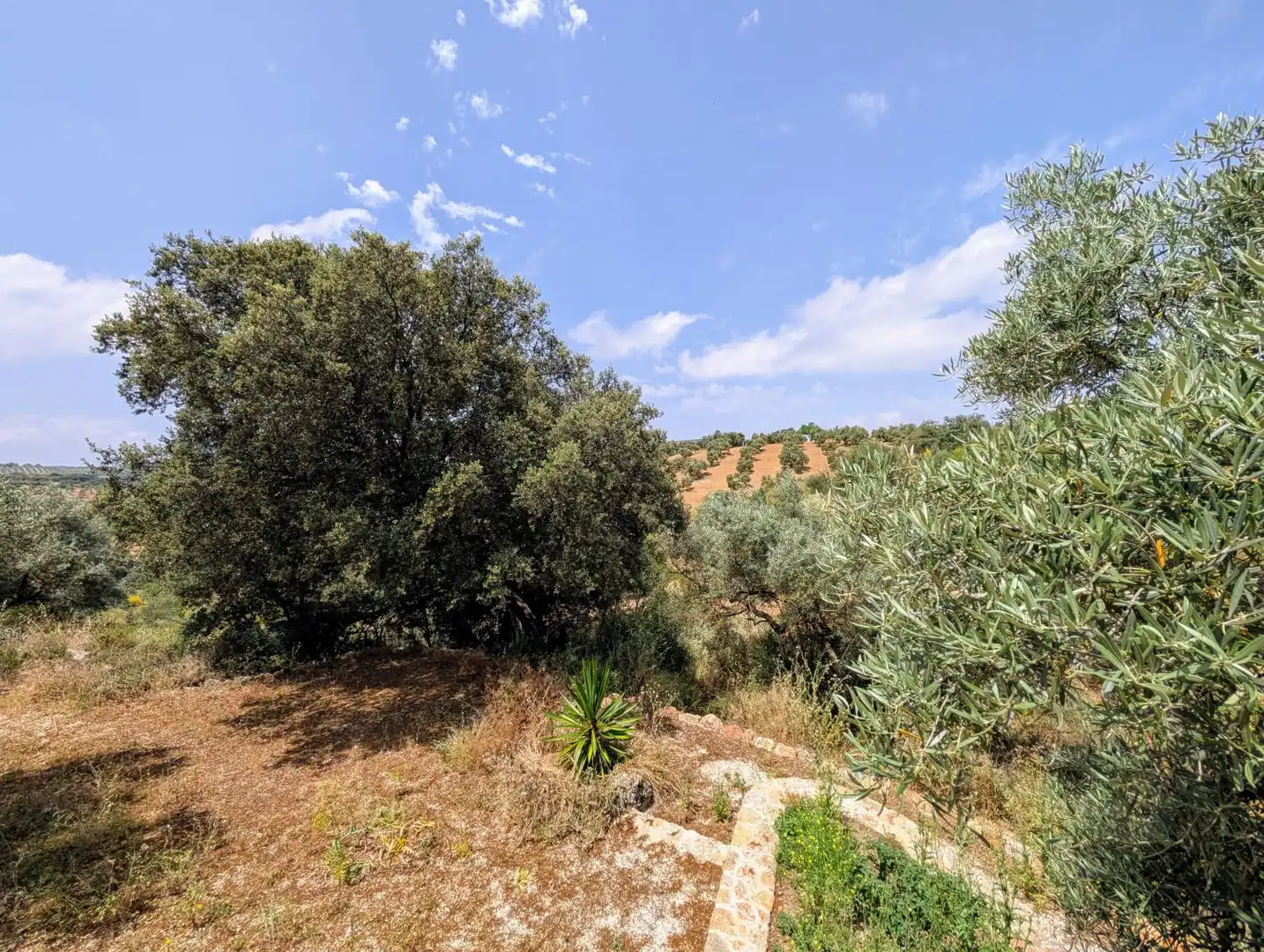 Casa o xalet en venda en Loja amb Calefacció, Jardí privat i Terrassa
