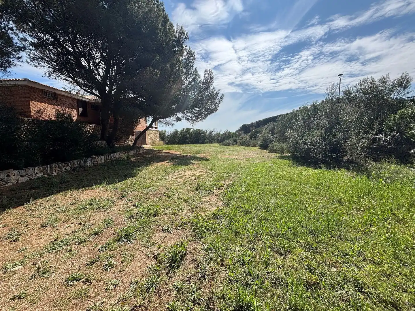 Terreno rustico in vendita a Calle Mimosa, imagen 4