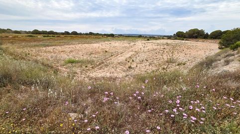Foto 5 de Residencial en venta en Valverde, Elche / Elx