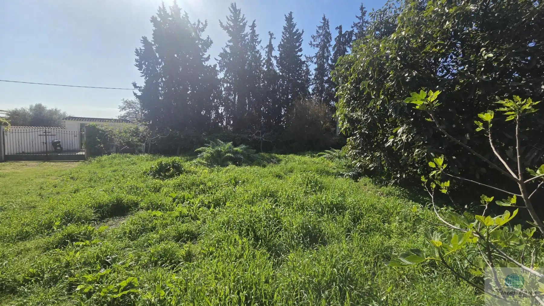 Casa rustica in vendita a Valtocado - La Alquería - La Atalaya, imagen 5