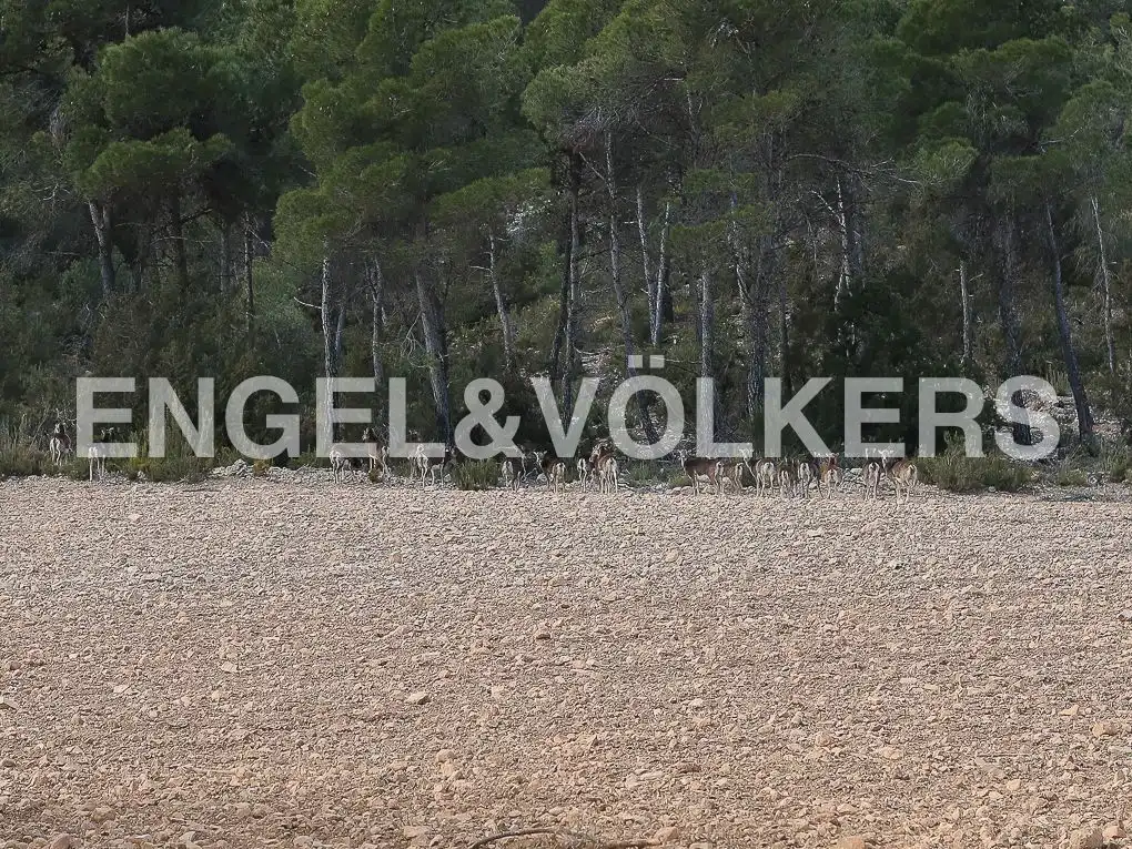 Finca rústica en venda en Ayora amb Jardí privat, Parquet i Terrassa