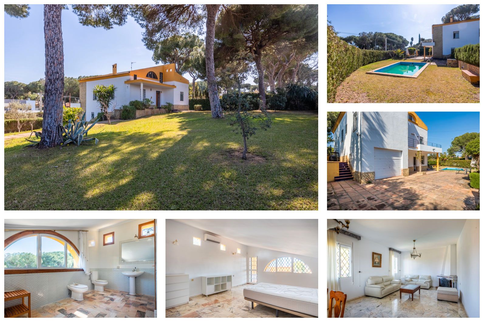 Garden of House or chalet for sale in Alcalá de Guadaira  with Private garden, Terrace and Swimming Pool