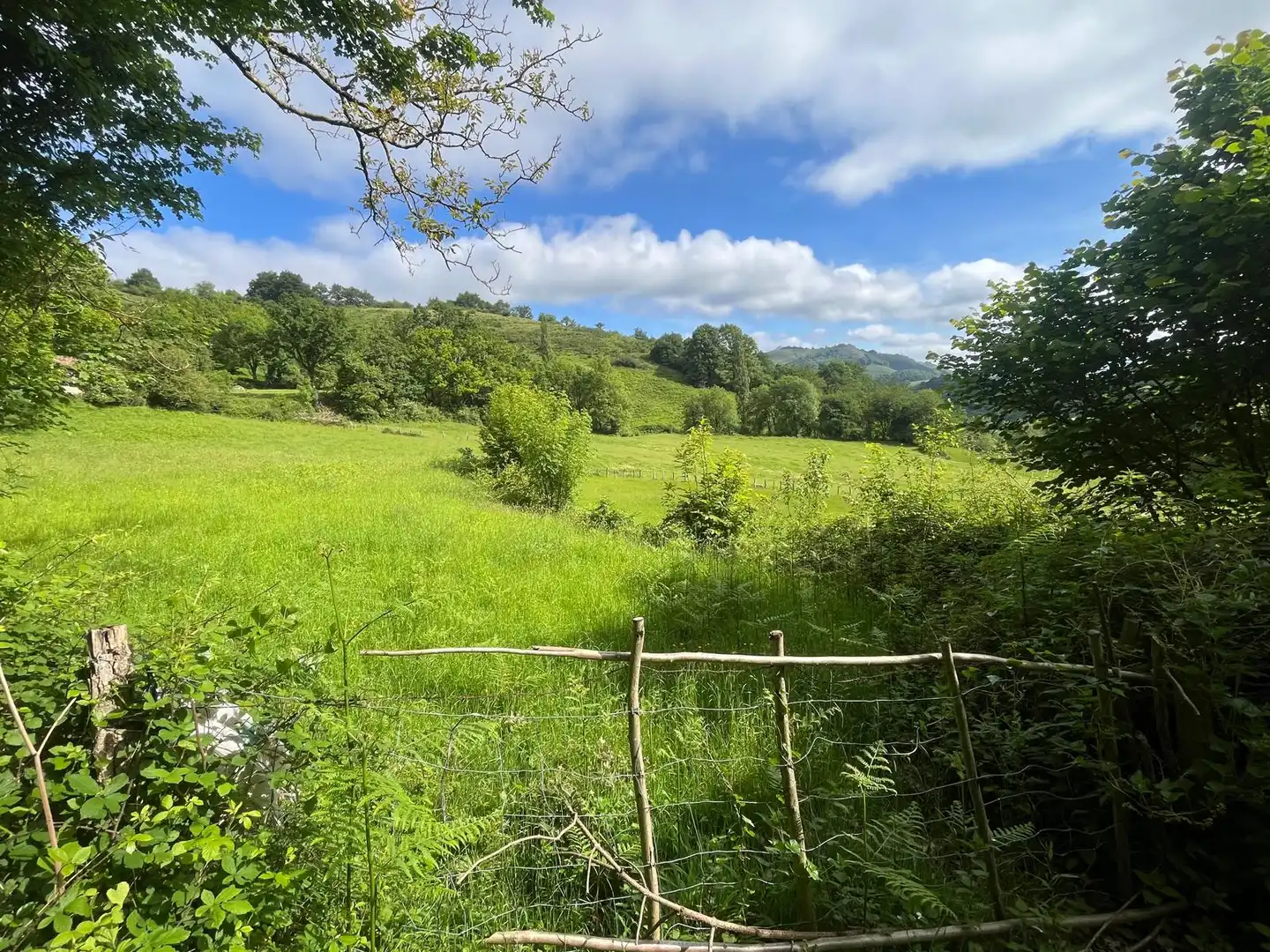 Land for sale in Beintza-Labaien