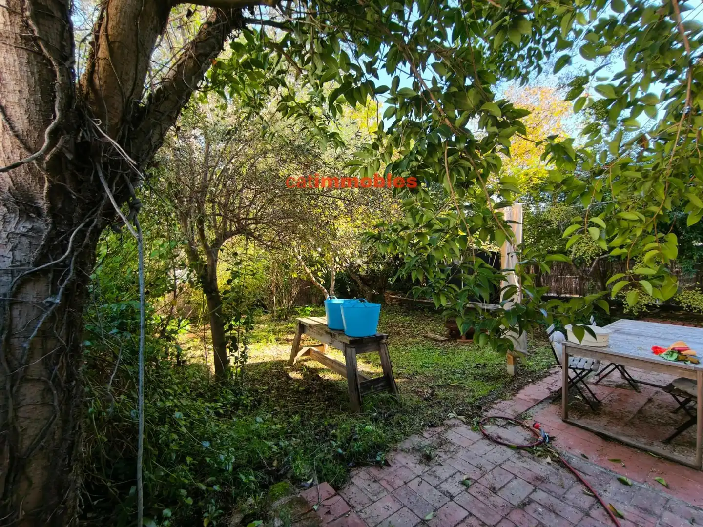 Appartamento con giardino in affitto a Mossen Jacint Verdaguer, imagen 35