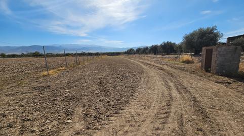 Foto 2 de Terreno en venta en Calle Los Huertos, 21, Las Flores - Huerta, Las Gabias