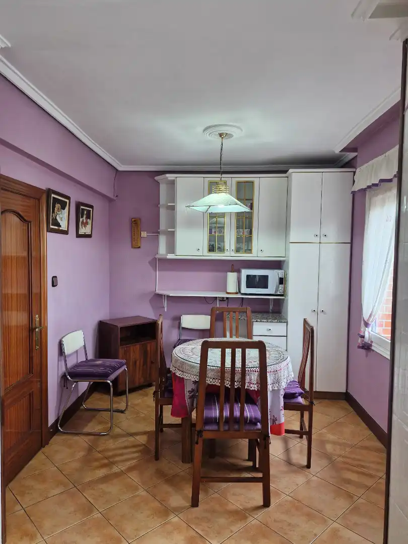 Cocina de Piso de alquiler en Derio con Calefacción, Parquet y Terraza