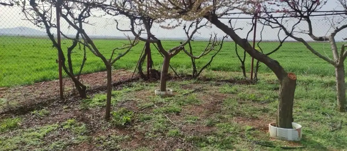Finca rústica en venta en Valdepeñas
