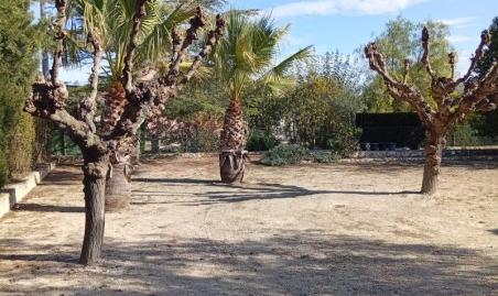 Foto 4 de Casa o xalet en venda a Plaça Numero 6, 1174, Santa Ana, Ontinyent