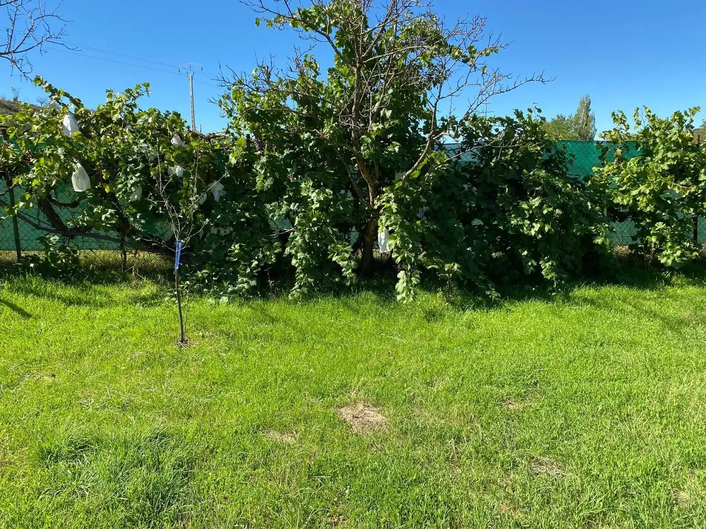 Terreno en venta en Escopete