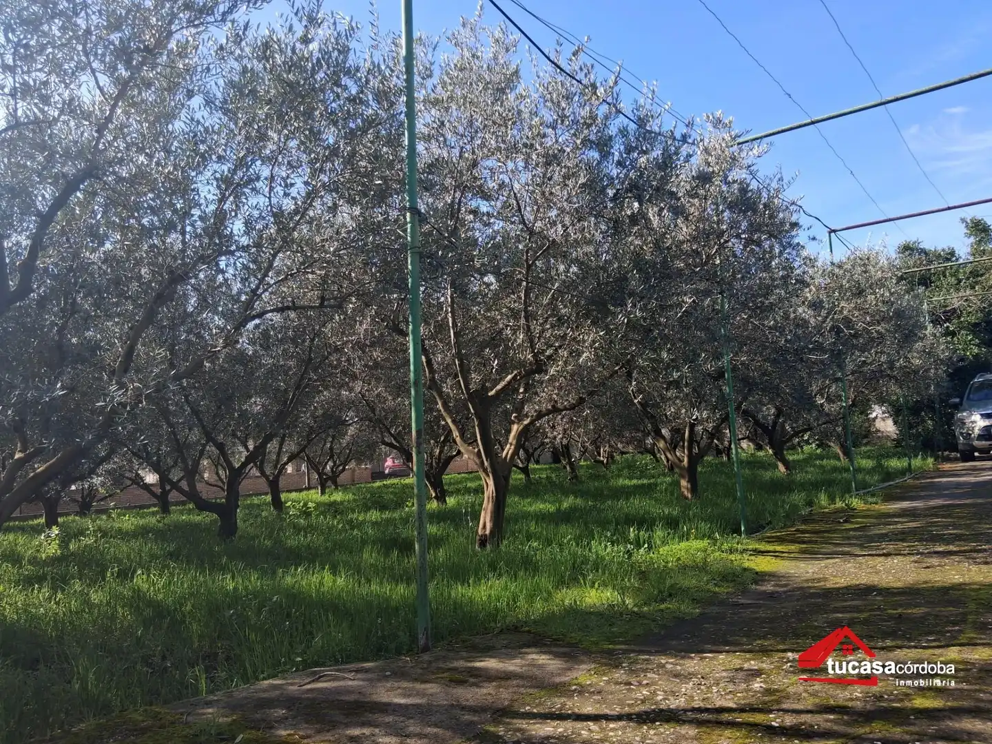 Finca rústica en venda en Córdoba