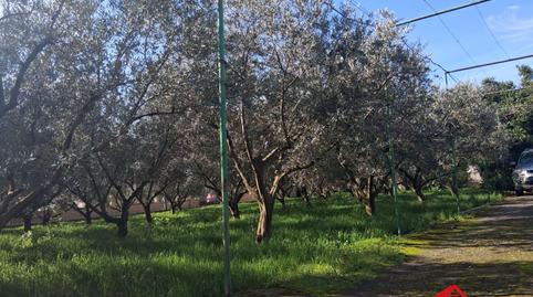 Photo 2 of Country house for sale in Santa Maria de Trassierra,  Córdoba Capital