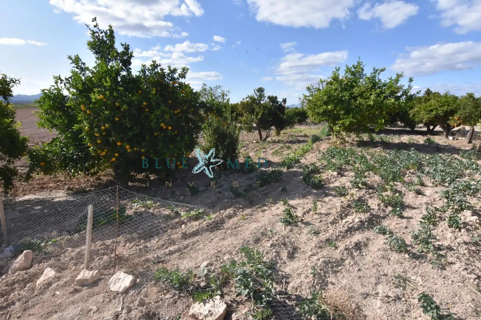 Maison rustique avec jardin à vendre à Mazarrón Casco Urbano, imagen 28