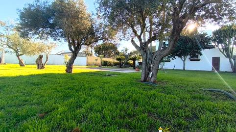 Photo 5 of House or chalet for sale in La Jara, Sanlúcar de Barrameda