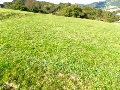 Residential land for sale in Sama
