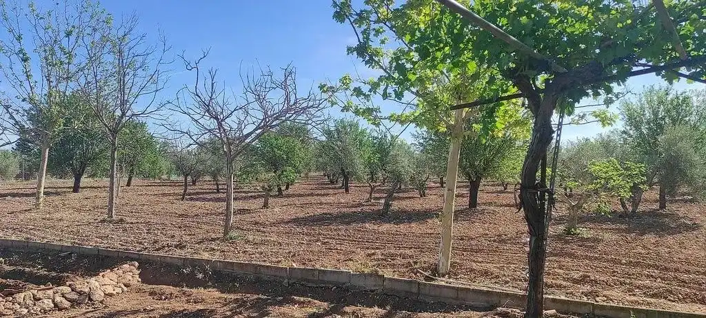 Xalet amb piscina en venda a Miguelturra, imagen 3