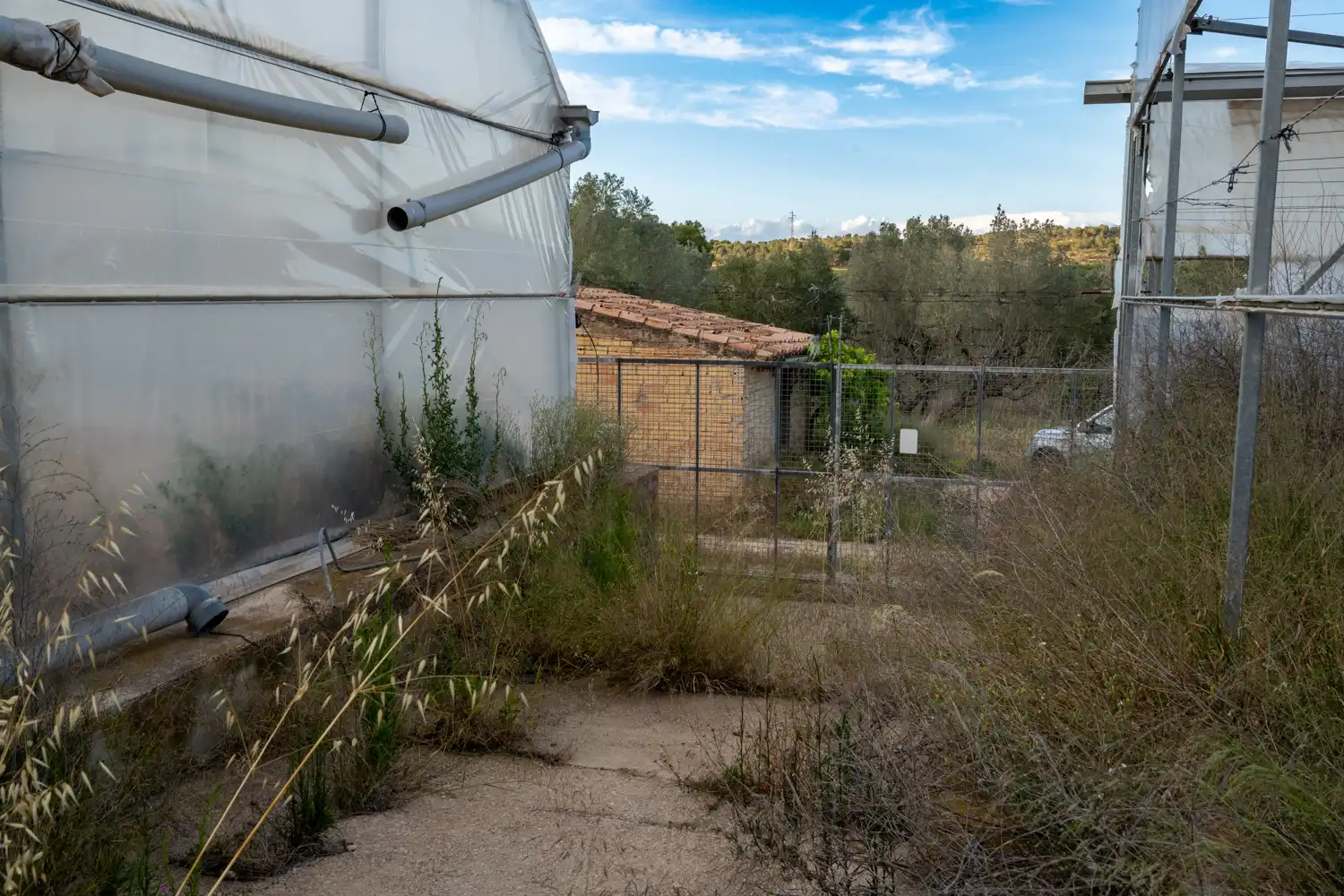 Exterior view of Land for sale in El Pinell de Brai