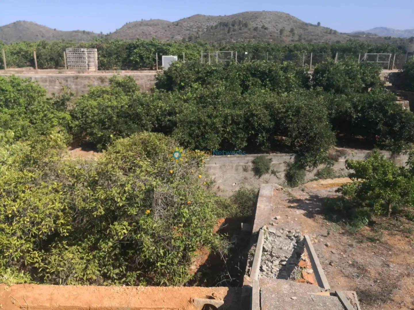 Terrain rustique à vendre à Oliva pueblo, imagen 7