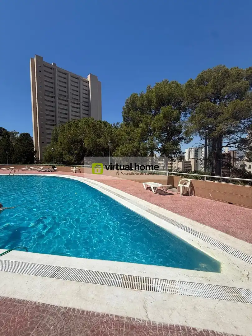 Swimming pool of Flat for rent in Benidorm  with Air Conditioner, Terrace and Furnished