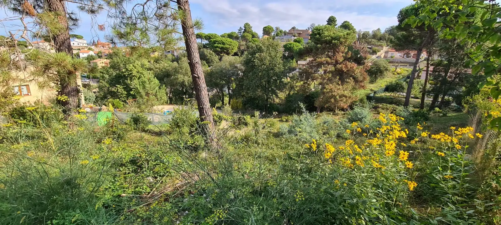 Terrain rustique à vendre à C/ St Antoni, imagen 7