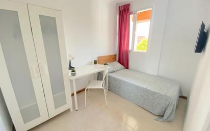 Apartment to share in Cruz Roja