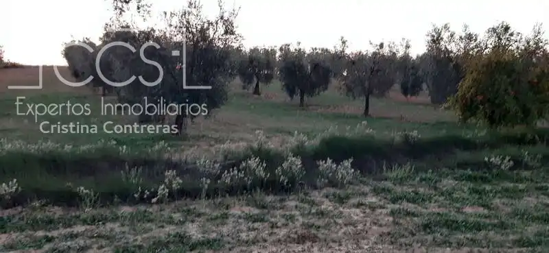 Terreni e lotti in vendita a Almonte ciudad, imagen 9