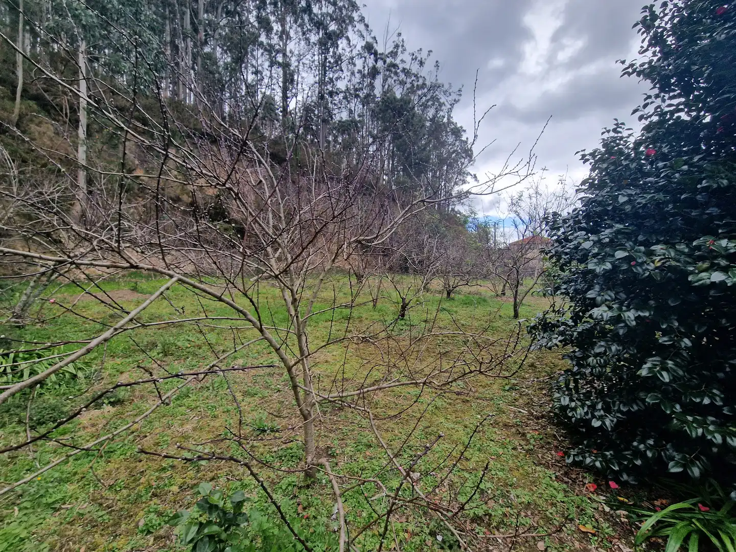 Casa con jardín en venta en Camiño da Cruz do Pouso, imagen 14
