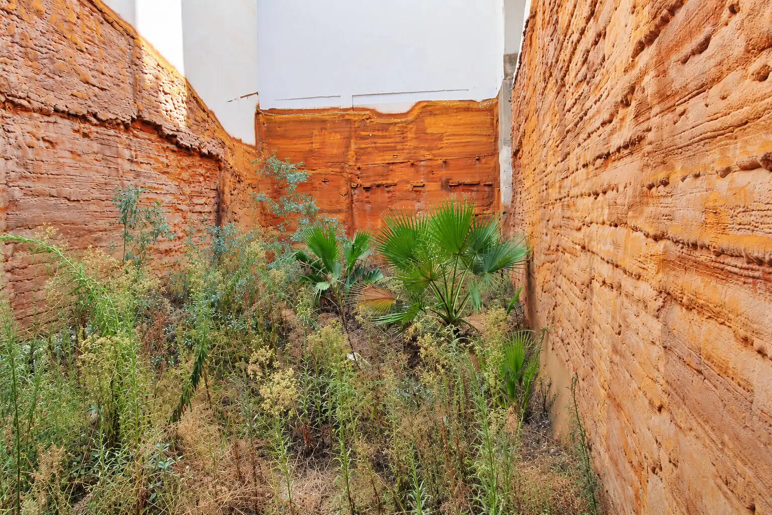 Residential land for sale in Centro, imagen 4