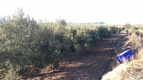 Foto 4 de Finca rústica en venda a Pulpí pueblo, Almería