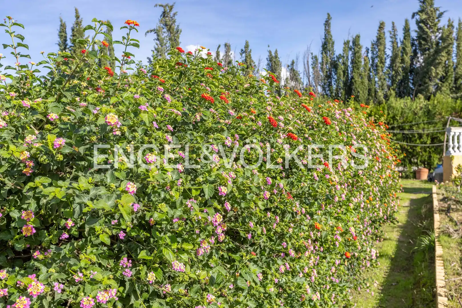Garden of Houses for sale in Morón de la Frontera  with Air Conditioner, Heating and Private garden