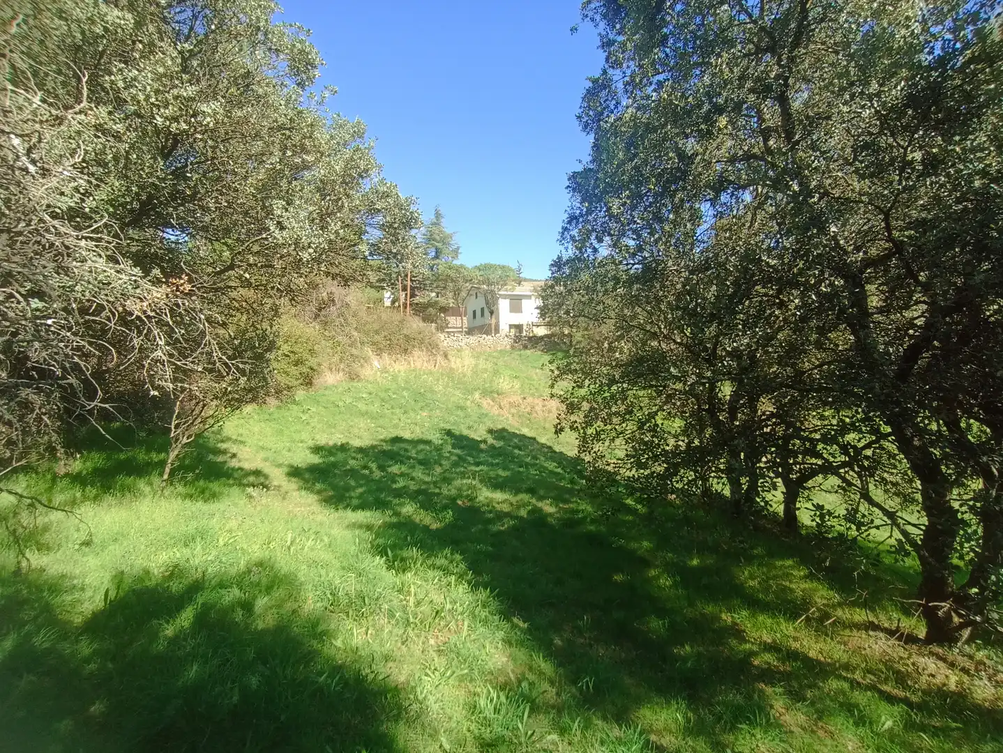 Residential zum Verkauf in Santa María de la Alameda