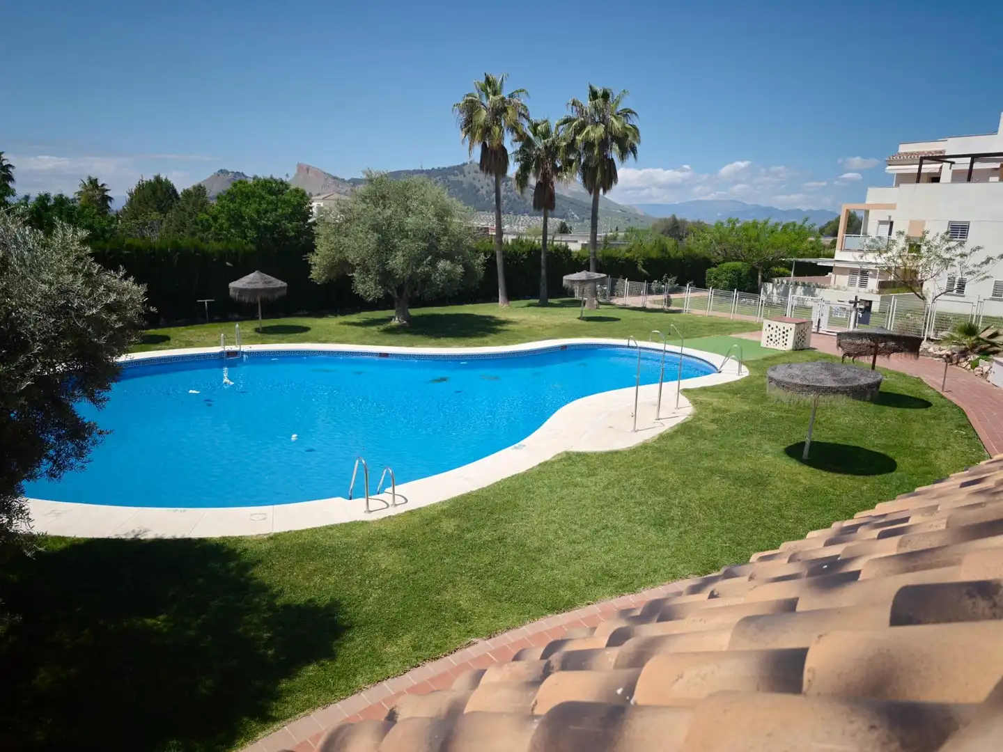 Piscina de Pis en venda en Albolote amb Aire condicionat, Terrassa i Moblat