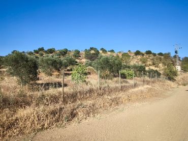 Terrenys i solars en venda a Álora