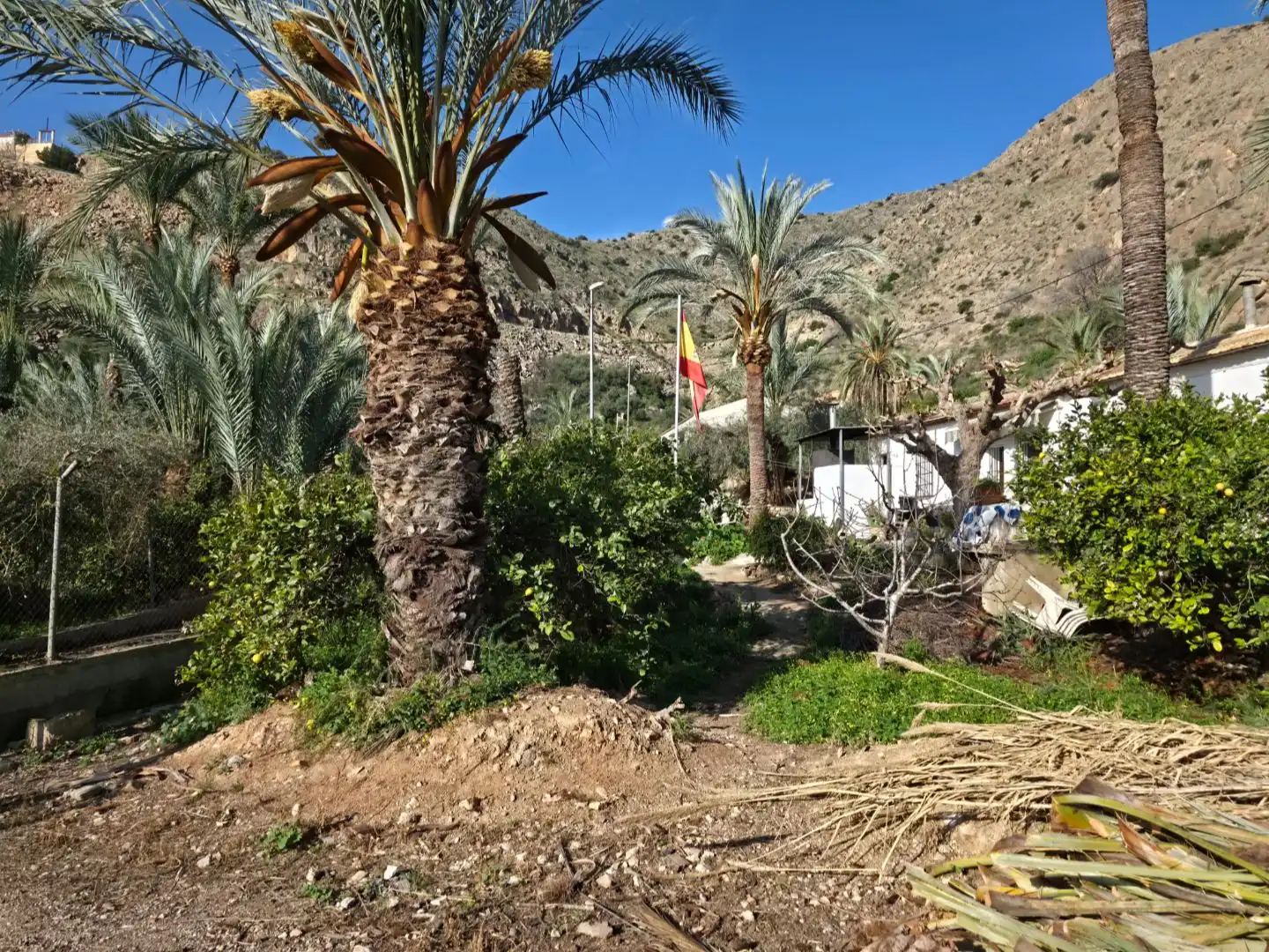 Casa rústica amb piscina en venda a Carrer Carretera R Bon 44, imagen 25