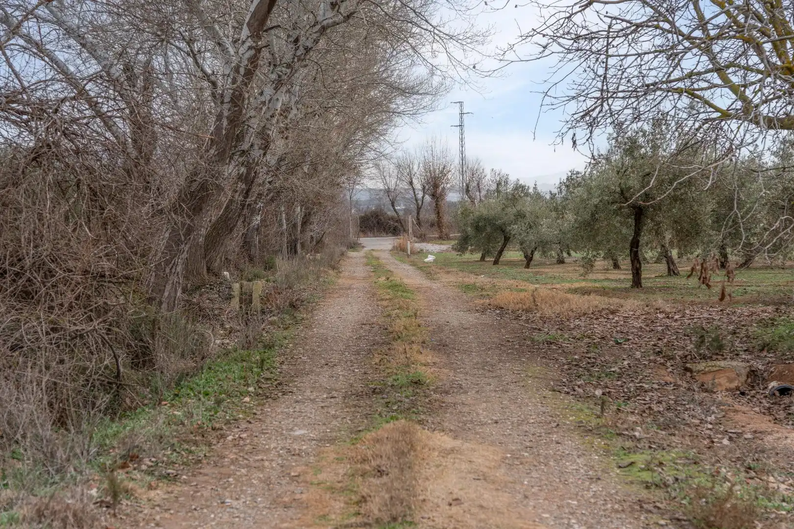 Terrenys i solars en venda a Polígono 23 Parcela 63 LA ZANJA. ALBOLOTE (GRANAD 23, imagen 54