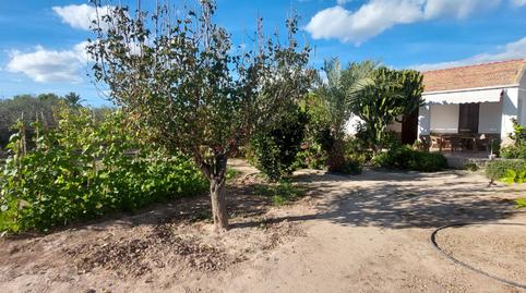 Photo 5 of House or chalet for sale in La Foia - Daimés - Asprella, Alicante