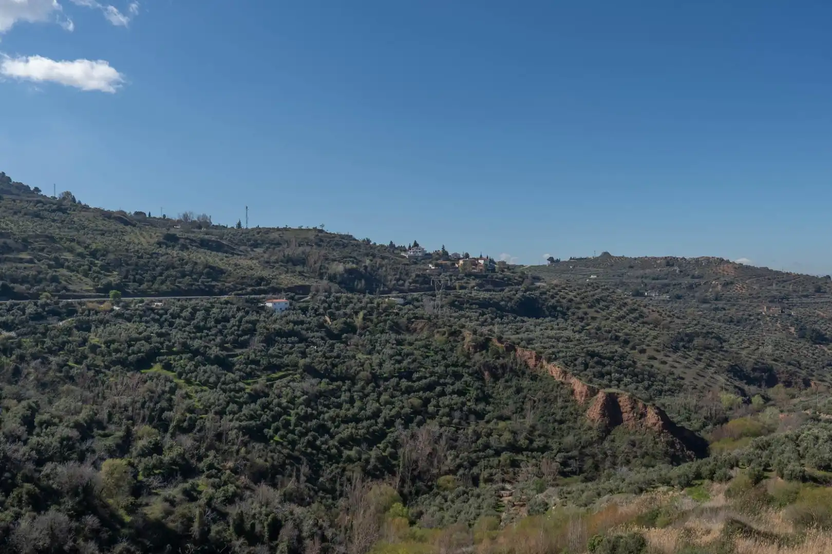 Terreni e lotti in vendita a Cogollos de la Vega, imagen 22