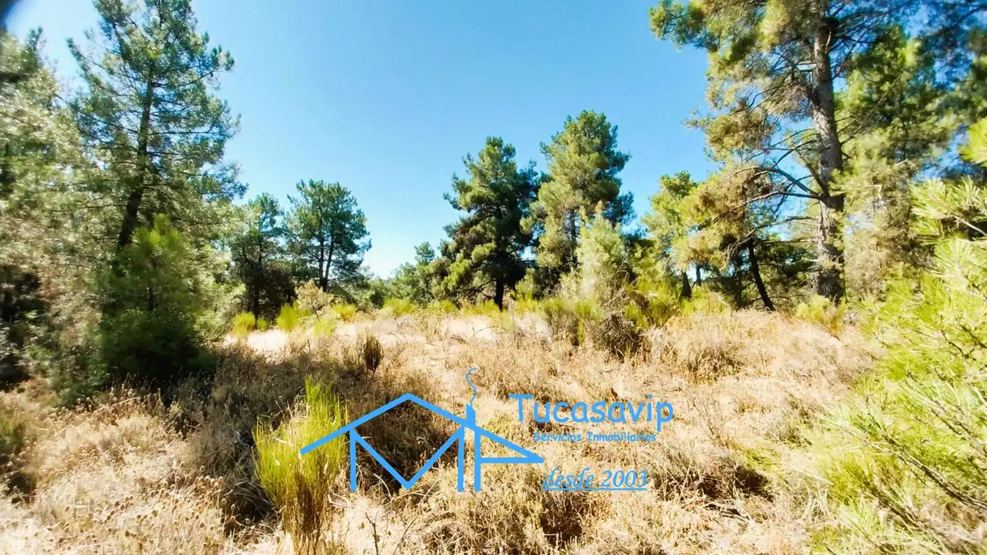 Terreno en venta en Cadalso de los Vidrios