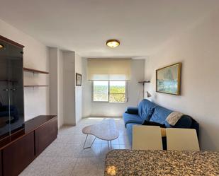 Living room of Study to rent in Castellón de la Plana / Castelló de la Plana  with Furnished