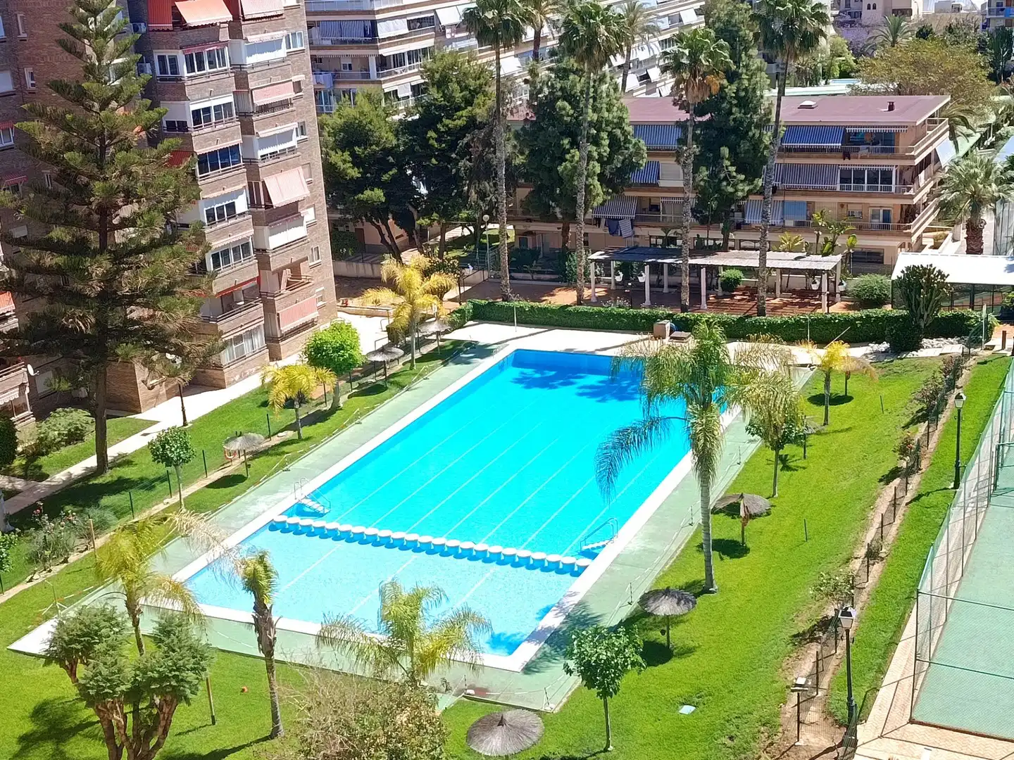 Schwimmbecken von Wohnungen zum Verkauf in Alicante / Alacant mit Klimaanlage, Heizung und Alarm