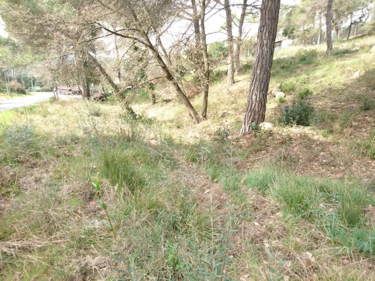 Terreny residencial en venda a Vilanova del Vallès, imagen 30